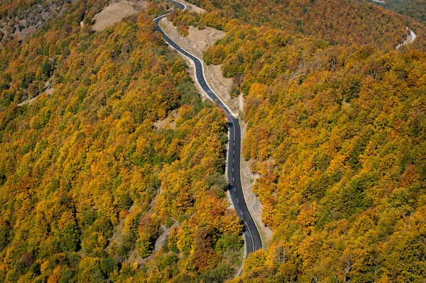 Горный Путь Через Лес Осень Горе — стоковое фото
