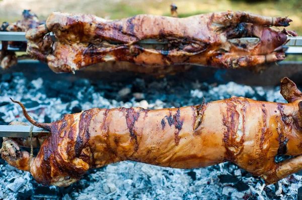 Traditionally Suckling Pig Rotating Spit Fire Smoke — Stock Photo, Image