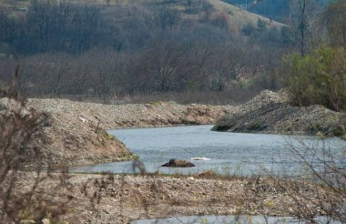 Küresel Kum Madenciliğinin Etkileri