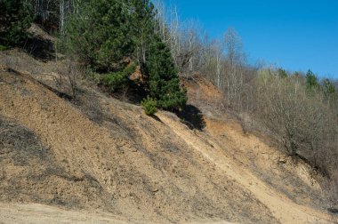 Açık ağaç kökleri toprak kaymaları, toprak erozyonu, yol kesildikten sonra