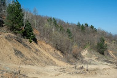 Açık ağaç kökleri toprak kaymaları, toprak erozyonu, yol kesildikten sonra