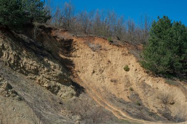 Açık ağaç kökleri toprak kaymaları, toprak erozyonu, yol kesildikten sonra