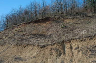 Açık ağaç kökleri toprak kaymaları, toprak erozyonu, yol kesildikten sonra