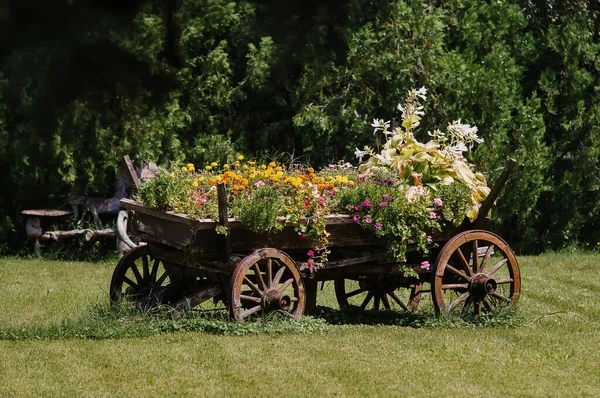Stary Drewniany Samochód Trawniku Kolorowymi Kwiatami — Zdjęcie stockowe