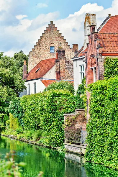 Ancient houses on the bank of the channel in Bruges, Belgium. Roofs of houses are visible behind green hedges. It is a lot of greens, reflection in water of the channel