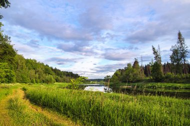 Yaz akşam Nehri üzerinde. Günbatımı güneş ışıklar dar sessiz nehir, ahşap ve yüksek bir ot nehir kıyısında. Yaz günü, pitoresk bulutlu gökyüzü