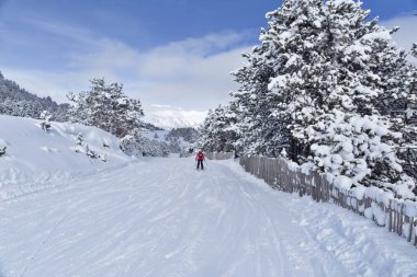 Çam ağaçları arasında kayak pisti. Kayak çalıştırın Pyrenees, Andorra, soğuk kış günü