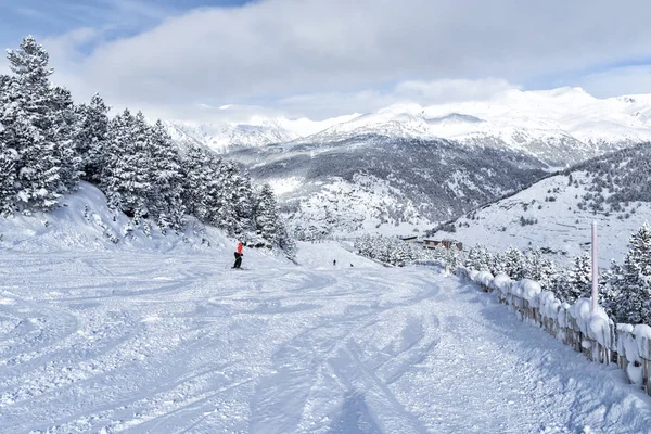 Çam Ağaçları Arasında Kayak Pisti Kayak Çalıştırın Pyrenees Andorra Soğuk — Stok fotoğraf