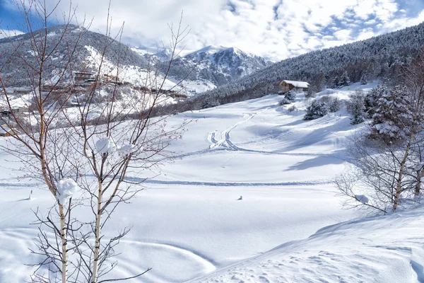 Pyrenees Andorra Kış Dağ Manzarası Huş Ağacı Kar Konut Dağ — Stok fotoğraf