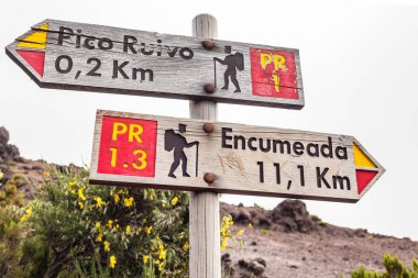 Tabelasını turist izinde. Madeira Adası, Portekiz.