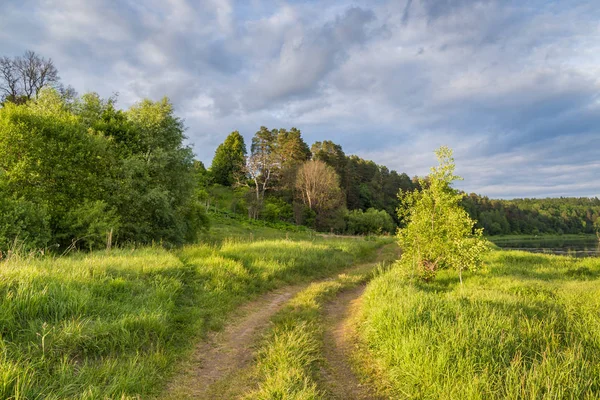 Country Road Riverbank Summer Sunset Green Grass Forest Shore Cloudy — Stock Photo, Image