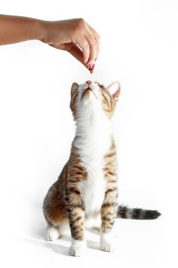 Panoramik Soldeu kayak merkezi - Andorra El Tarter 