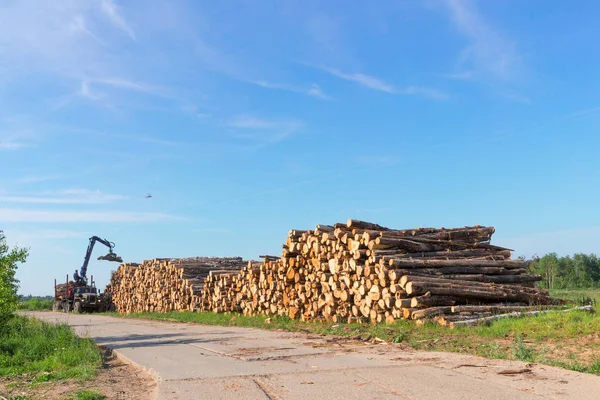 Sawn tree trunks on the side of the road. — Stock Photo, Image