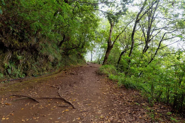 Footpath along a levada in a forest in Madeira, Portugal. — Stock Photo, Image