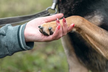 Bir adamın elinde büyük bir köpeğin pençesi, tırnaklarında manikür olan bir kadın
