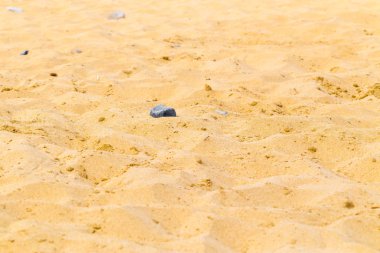 Kumsalda sarı kum ve birkaç küçük taş..