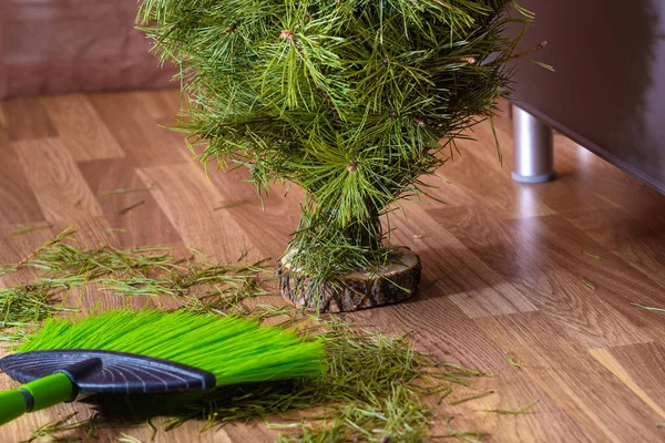 크리스마스 트리는 바늘의 쓰레기 사이에 바닥에 서. — 스톡 사진