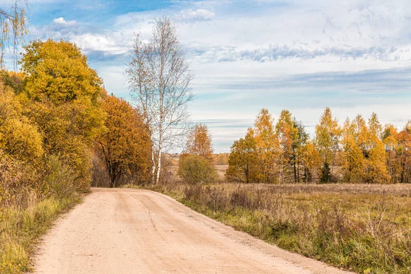 Forest on the edge of the field in late autumn countryside — Stock Photo, Image