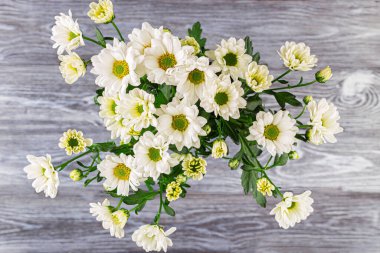 Gri ahşap bir masada beyaz çalı kasımpatılar..