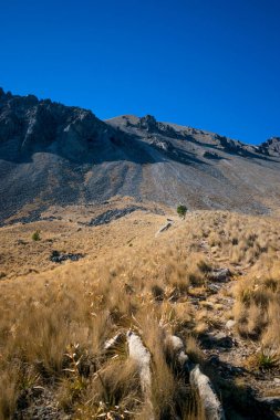 Mavi manzara nevado de toluca