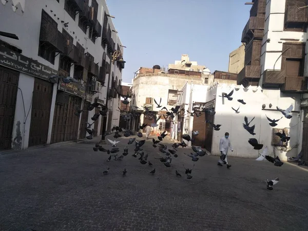 Güvercinler uçuyor  