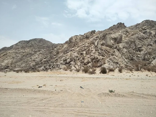 Çöldeki çöl manzarası