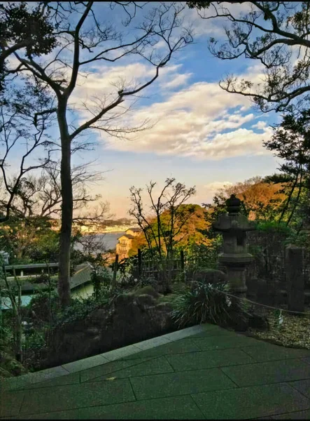 Ağaçlar ve gökyüzüyle Doğa Manzarası