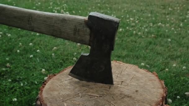 A férfi előhúz egy baltát egy fapadlóval.. — Stock videók