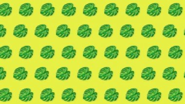 Sarı arka planda moda palmiye yaprakları. Video için hareket canlandırması.