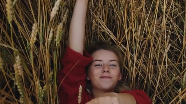 Jeune fille couchée dans un champ de blé et agitant les bras — Video