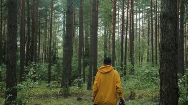 Mannelijke fotograaf maakt in de herfst foto 's in een bos. — Stockvideo