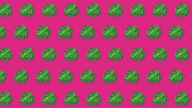 Sarı arka planda moda palmiye yaprakları. Video için hareket canlandırması.