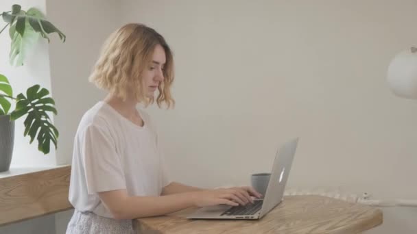 Γυναίκα που εργάζεται σε φορητό υπολογιστή κάθεται στο καφέ. — Αρχείο Βίντεο