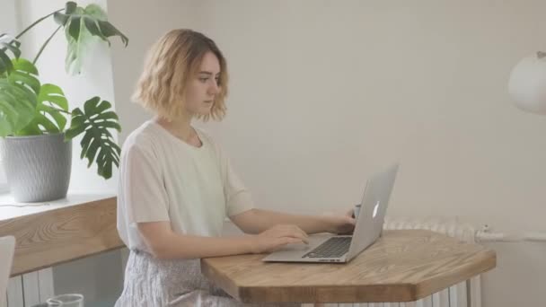 Γυναίκα που εργάζεται σε φορητό υπολογιστή κάθεται στο καφέ. — Αρχείο Βίντεο