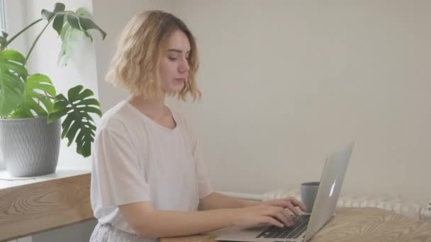 Woman working on laptop sitting in cafe. — Stock Video