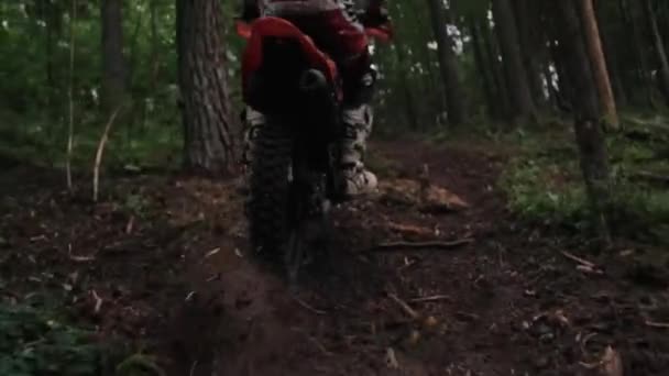 Motocross bicicleta en la colina en el bosque Dinámica marco extrema unidad en moto — Vídeos de Stock