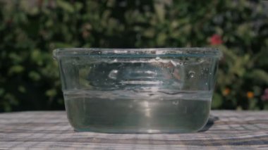 Domatesler yavaş çekimde suya düşer. Su sıçrıyor..