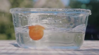 Domatesler yavaş çekimde düşüyor. Düşen sebzelerden akan su..