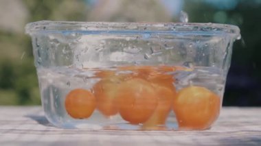 Domatesler yavaş çekimde düşüyor. Düşen sebzelerden akan su..