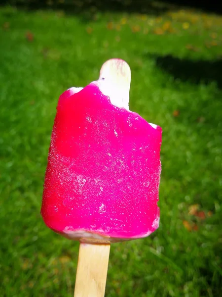 Gelado Rosa Com Fundo Verde — Fotografia de Stock