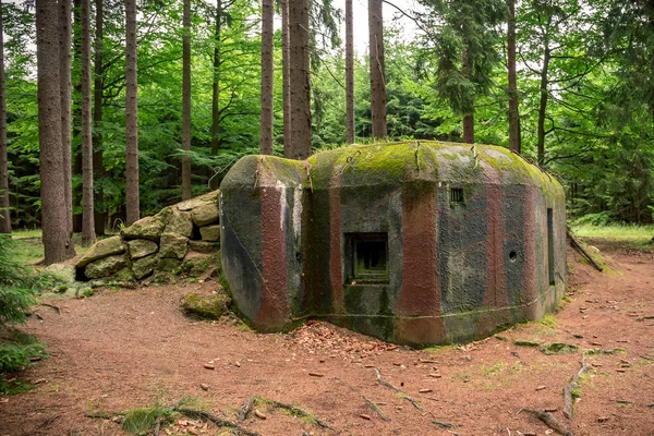 Búnker camuflado Segunda Guerra Mundial en el bosque oscuro —  Fotos de Stock