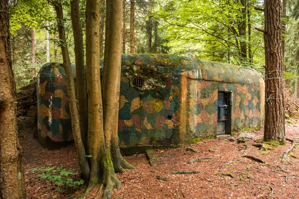 Búnker camuflado Segunda Guerra Mundial en el bosque oscuro —  Fotos de Stock