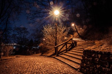 Geceleri Petrin parkı, Prag, Çek Cumhuriyeti, kışın