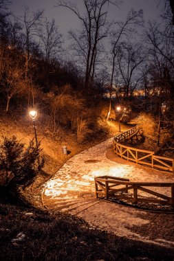 Geceleri Petrin parkı, Prag, Çek Cumhuriyeti, kışın