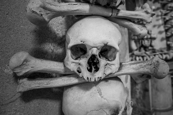 Skulls and bones on a wall, scary concept, real human skull. — Stock Photo, Image