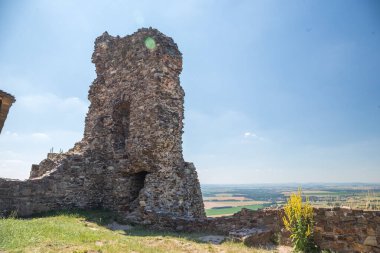 Gotik Ortaçağ Şatosu Lichnice, Demir Dağları, Pardubice Bölgesi, Çek Cumhuriyeti kalıntıları. Kale harabeleri.
