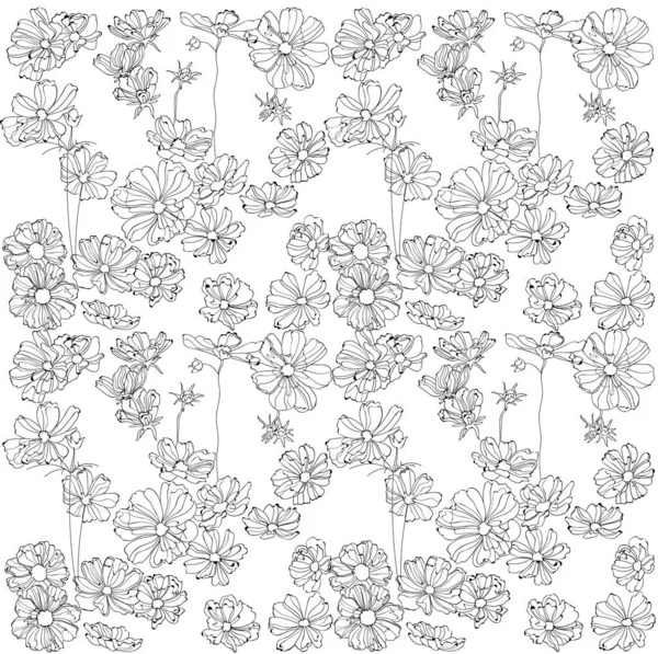 Орнамент Картины Нежные Черно Белые Цветы Ромашки Косметики Тонкой Линии — стоковый вектор