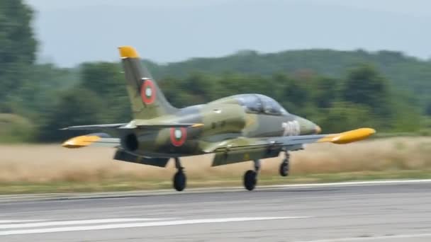 Military Combat Aircraft Landing Gear Touch the Runway with Smoke in Slow Motion — Stock Video