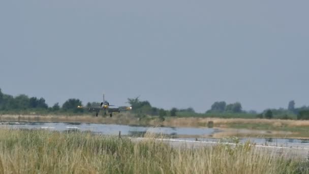 Avion de combat militaire à réaction L-39 près de toucher des roues au ralenti par temps chaud — Video