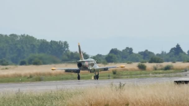 Aeronaves a jato de combate militar de movimento lento que tributam na pista após o desembarque — Vídeo de Stock